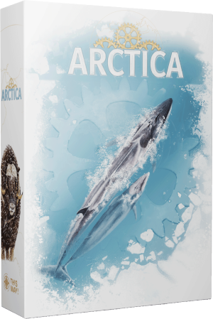 Arctica